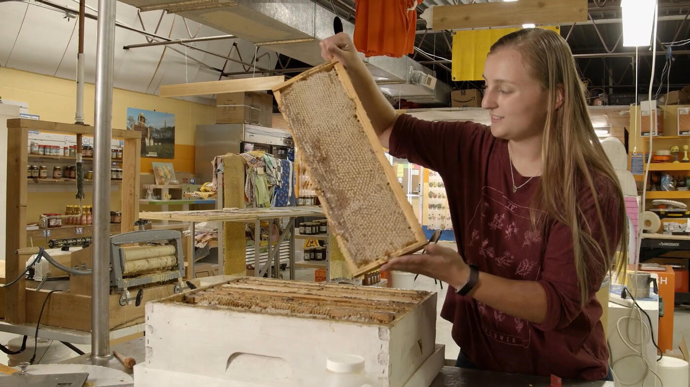 The Bee Store | Regenerative Farming