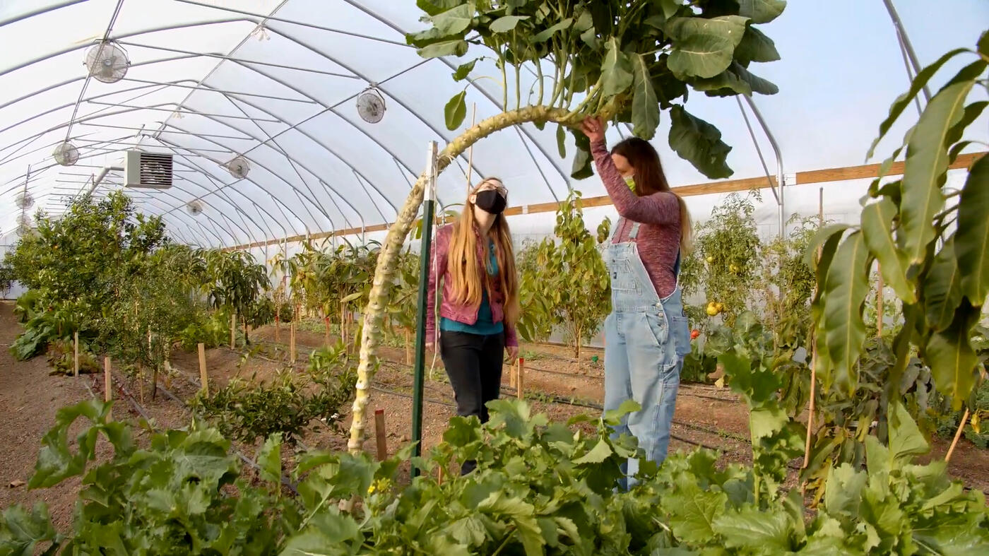 Baker Creek Heirloom Seeds