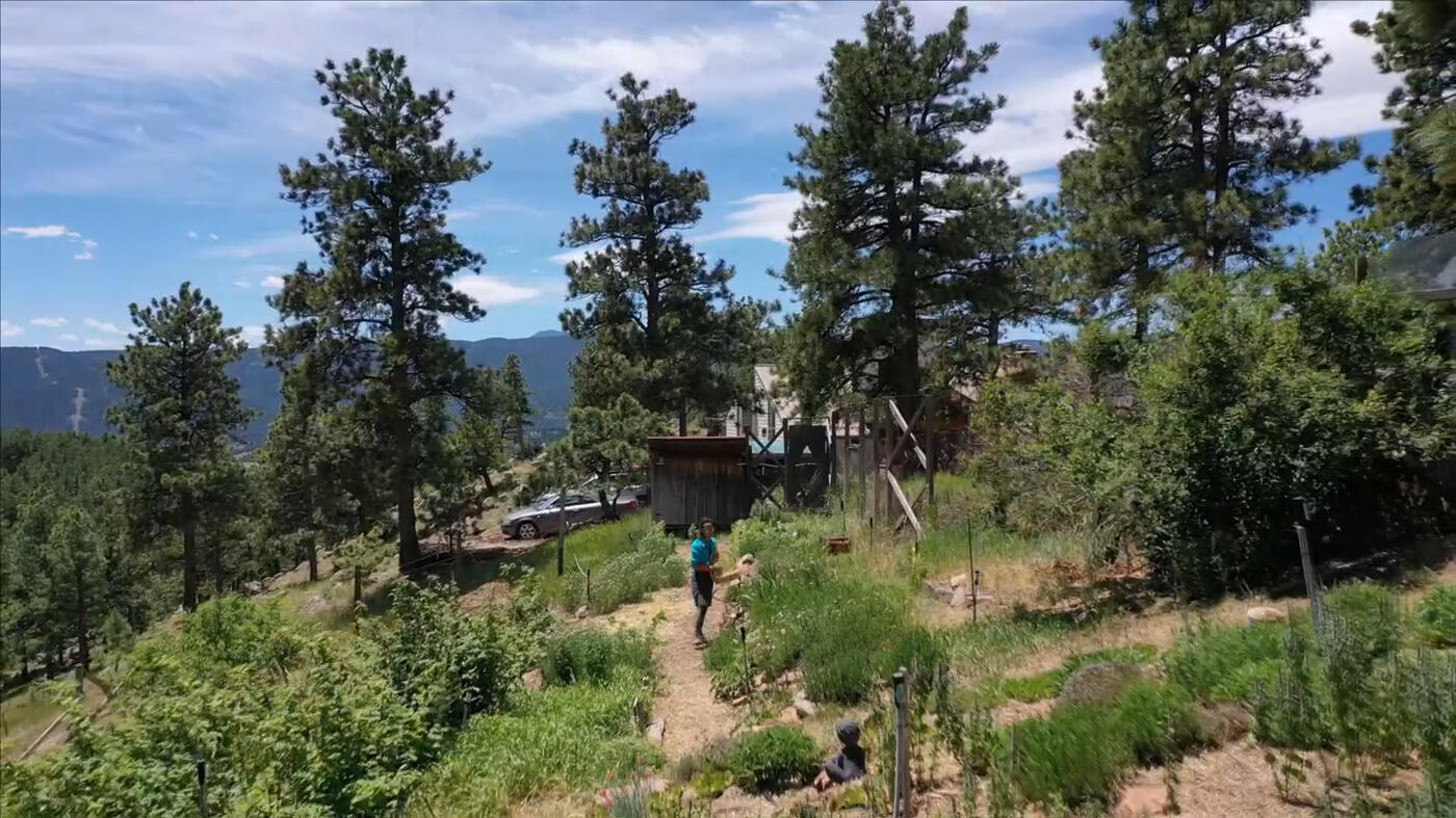 Rebecca's Apothecary | AY Young